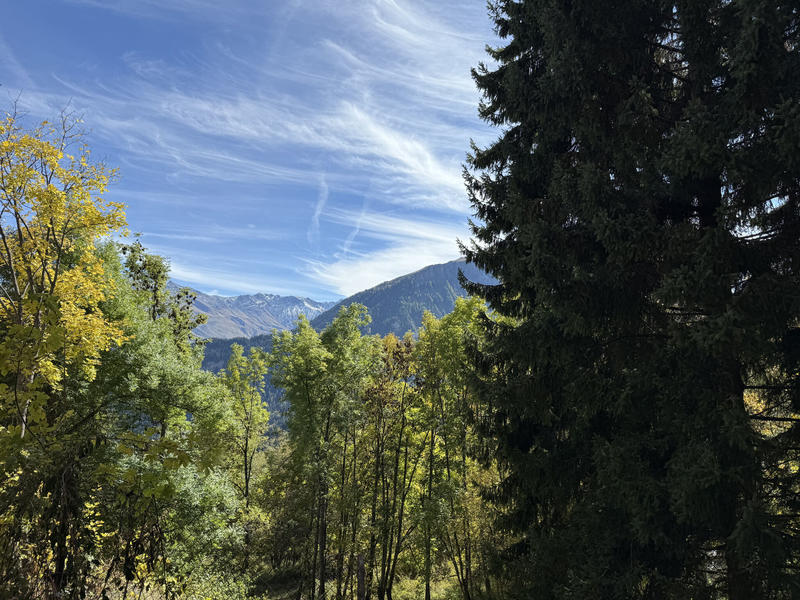 Châlet - 187 m² - 6 pièces