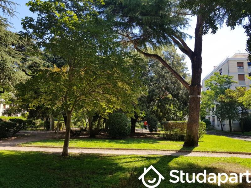 Appartement - 16 m² - 1 pièce