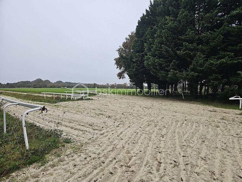 Terrain - 400 000 m²