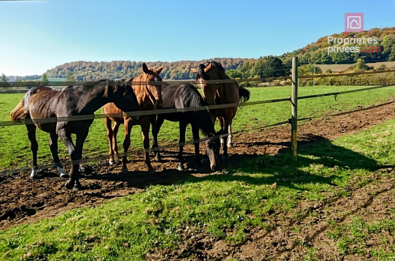 Maison - 237 m² - 8 pièces
