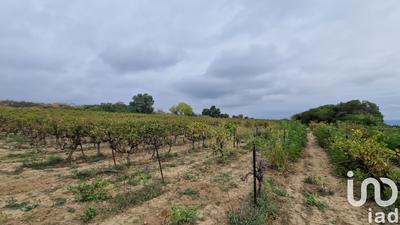 Terrain agricole - 73 520 m²