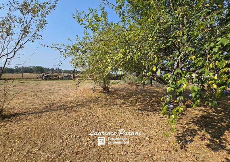 Maison - 201 m² - 7 pièces