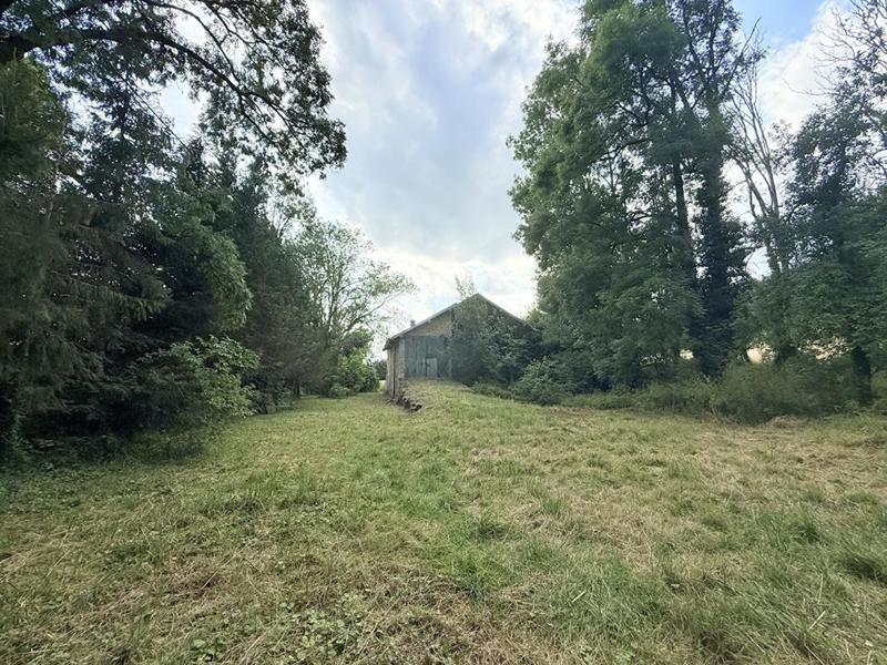 Maison - 300 m² - 5 pièces