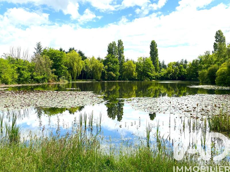 Terrain - 21 918 m²