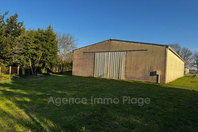 Local commercial - 400 m²