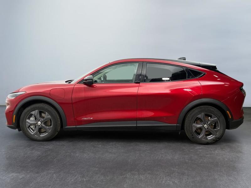 Ford Mustang Mach-E Standard Range 76 kWh 269 ch