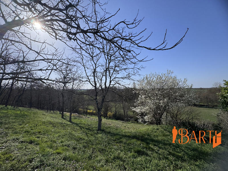 Maison traditionnelle - 194 m² - 8 pièces