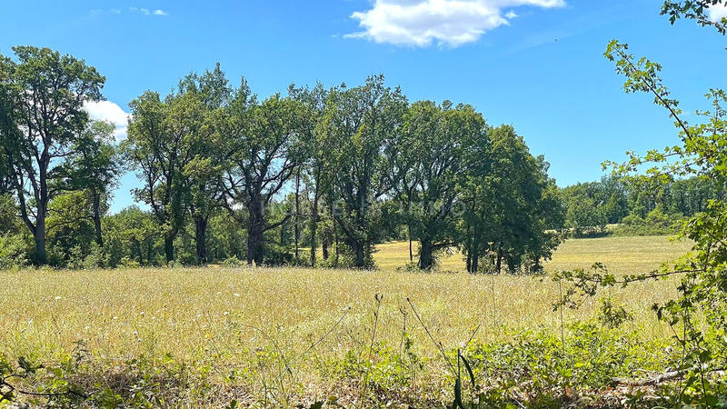 Bastide - 600 m² - 20 pièces