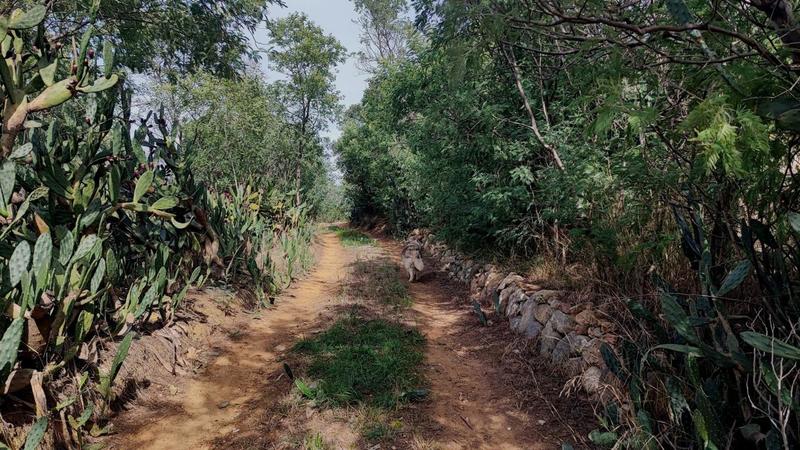 Terrain de loisirs - 20 959 m²