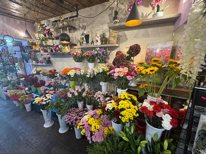 Local commercial - 53 m² - 2 pièces