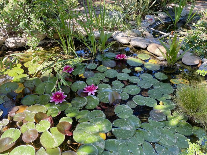 Villa - 153 m² - 5 pièces