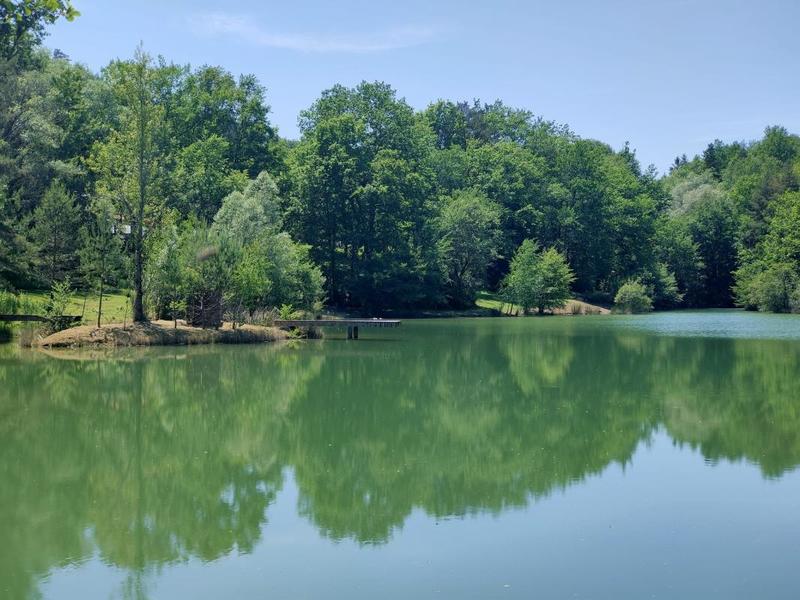 Propriété - 360 m² - 13 pièces