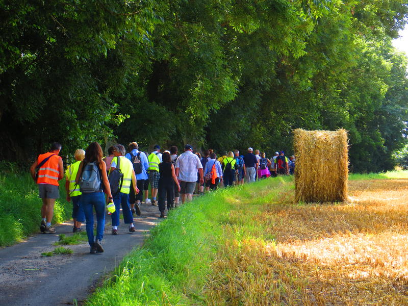 Randonnée pédestre