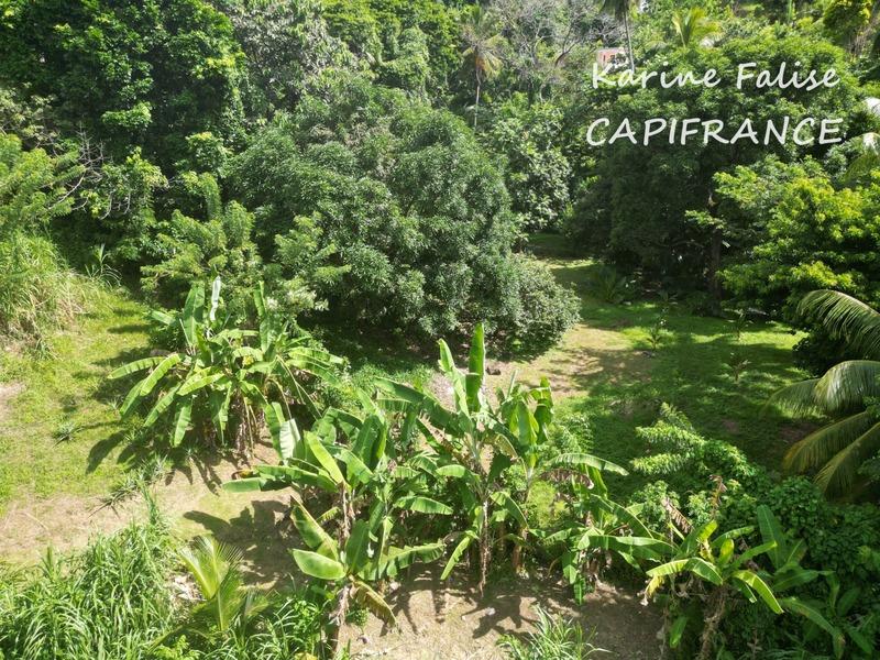 Maison - 270 m² - 8 pièces