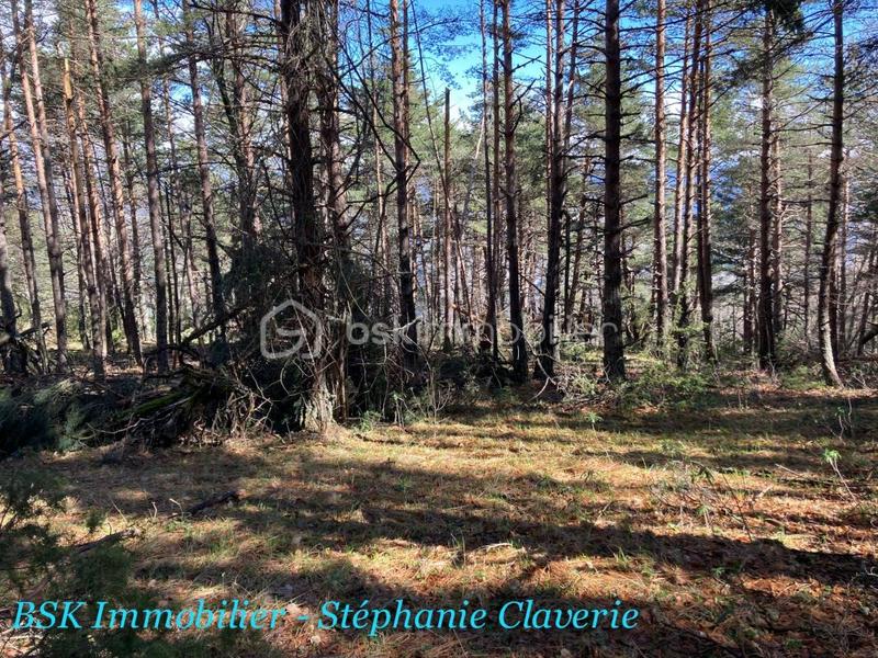 Terrain agricole - 10 100 m²