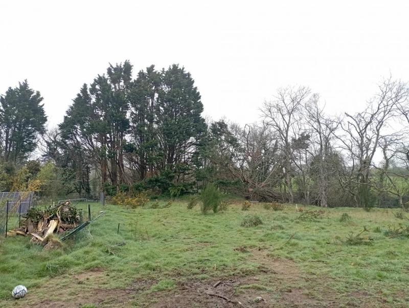 Terrain constructible - 1 742 m²