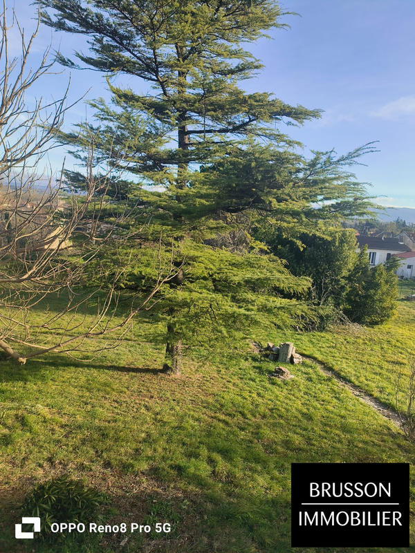 Immeuble - 5 956 m²