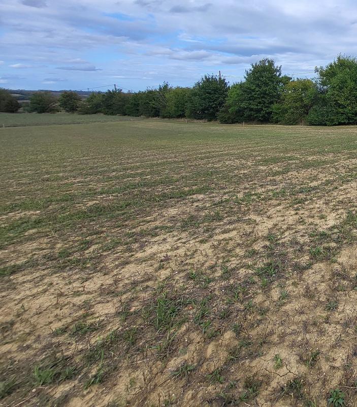 Terrain constructible - 634 m²