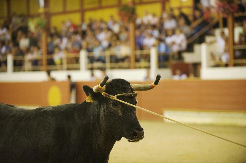 Les arènes de Gamarde les Bains avec Jean-Pierre