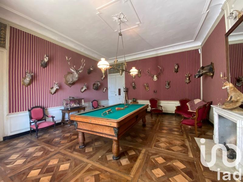 Château - 1 380 m² - 30 pièces