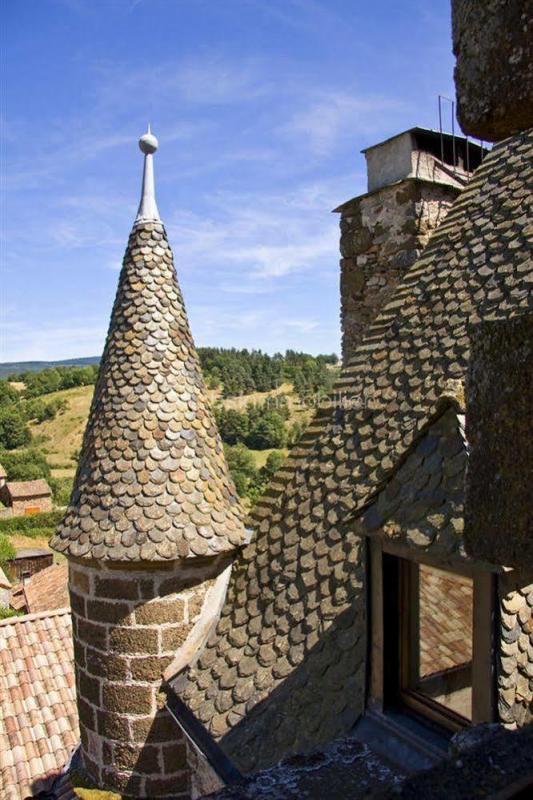 Château - 700 m² - 21 pièces