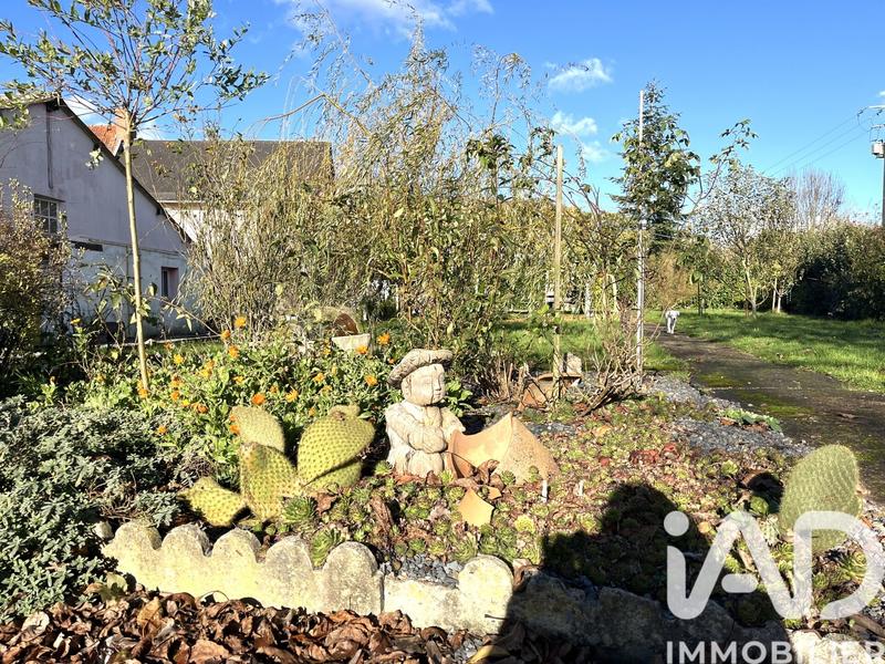 Maison de campagne - 100 m² - 5 pièces