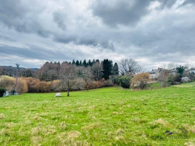 Terrain constructible - 4 954 m²