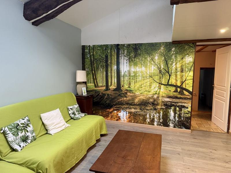 Maison ancienne - 250 m² - 12 pièces