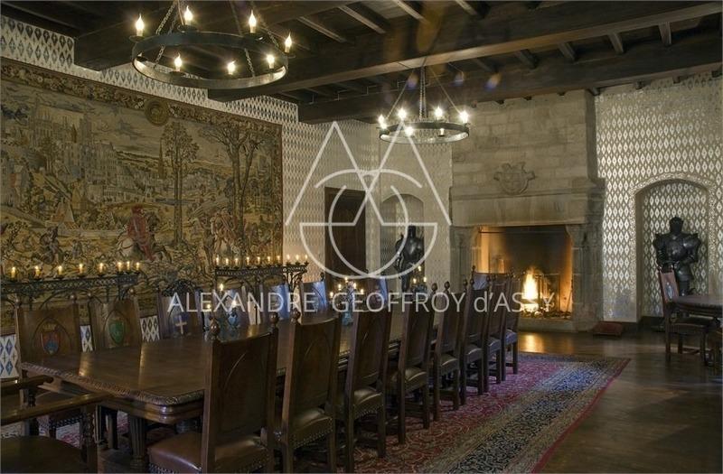 Château - 3 500 m² - 30 pièces