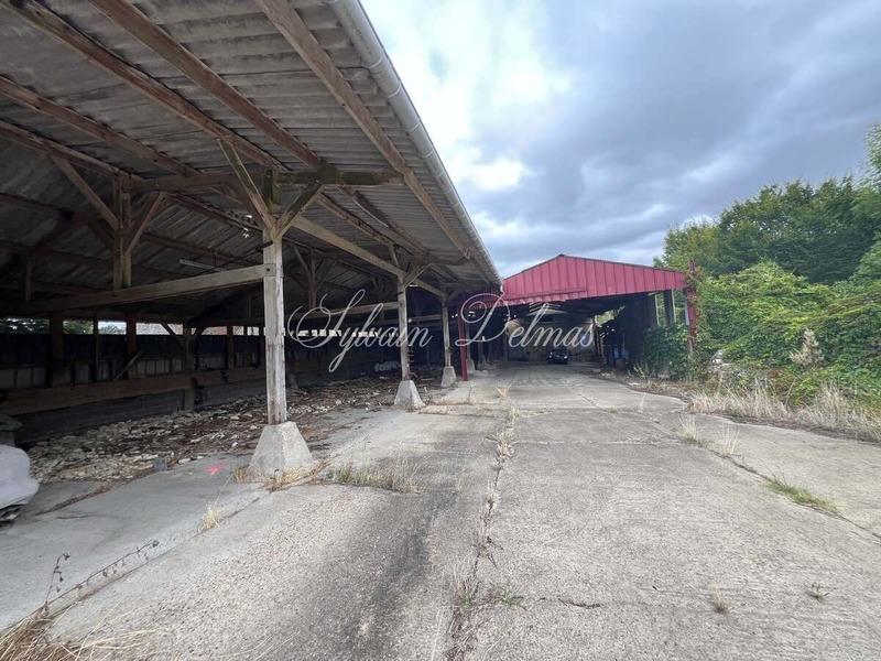 Château - 4 400 m² - 35 pièces