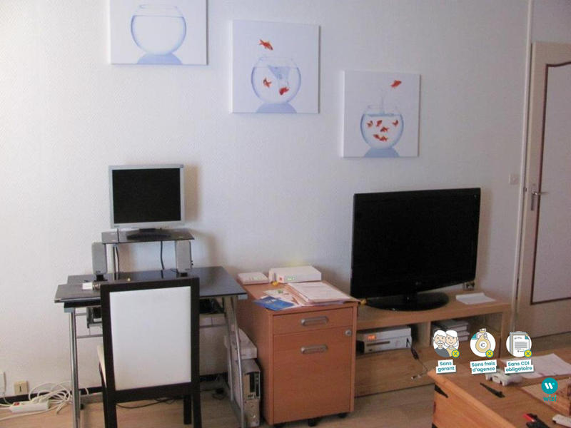 Appartement - 55 m² - 2 pièces