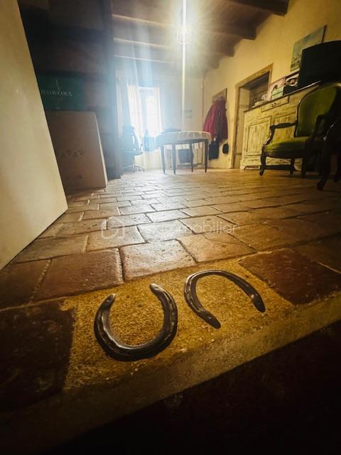 Corps de ferme - 297 m² - 9 pièces