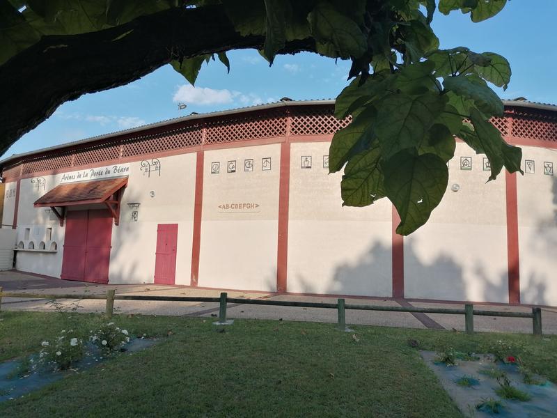 Journée coursayre, Course landaise