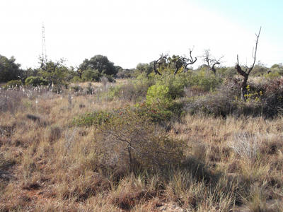 Terrain - 16 000 m²