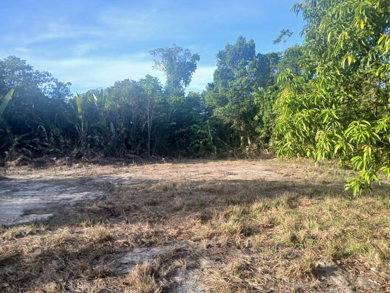 Terrain agricole - 10 004 m²