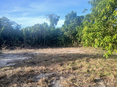 Terrain agricole - 10 004 m²