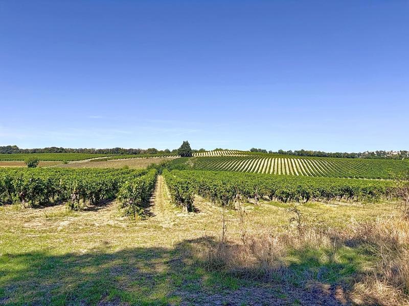 Maison - 650 m² - 15 pièces