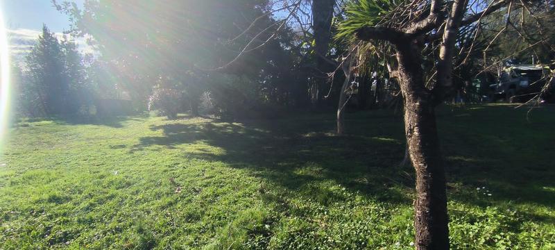 Maison ancienne - 241 m² - 5 pièces