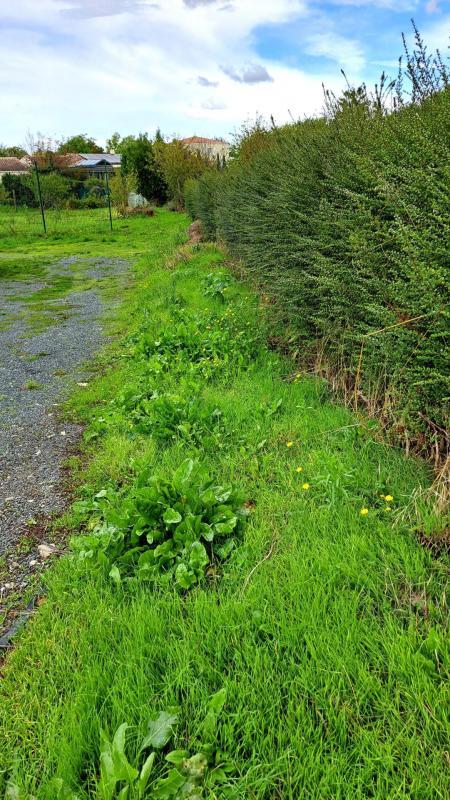 Terrain constructible - 661 m²