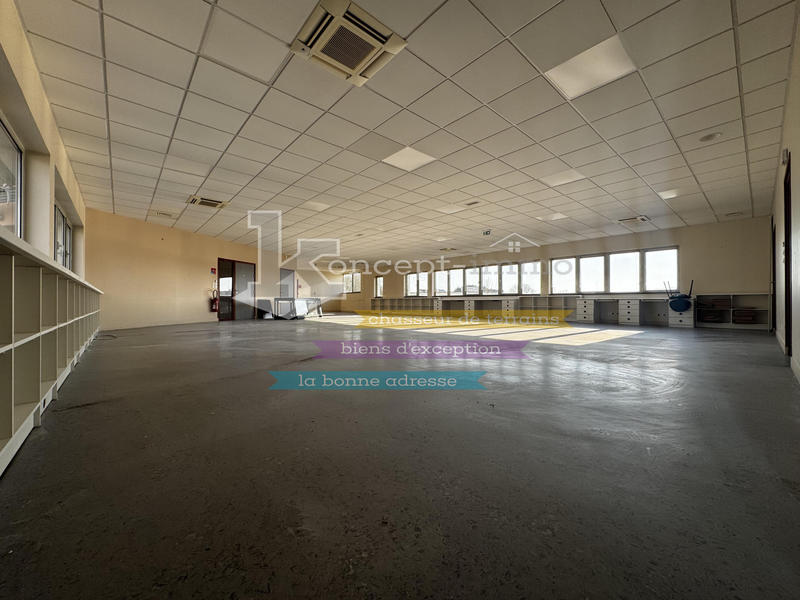 Bureau - 290 m²