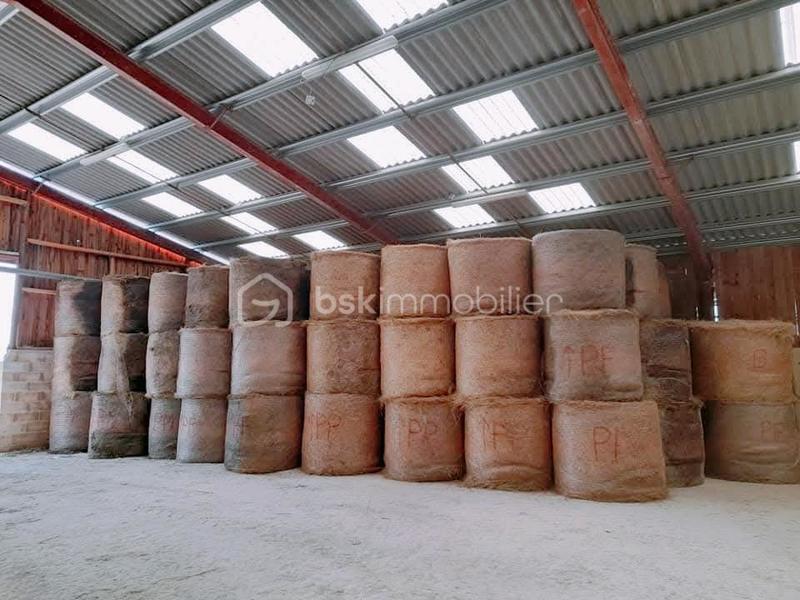 Maison de domaine équestre - 2 112 m² - 1 pièce