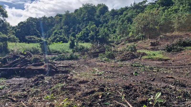 Terrain constructible - 647 m²