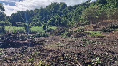 Terrain constructible - 647 m²