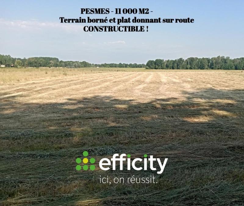 Terrain - 11 000 m²