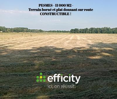 Terrain - 11 000 m²