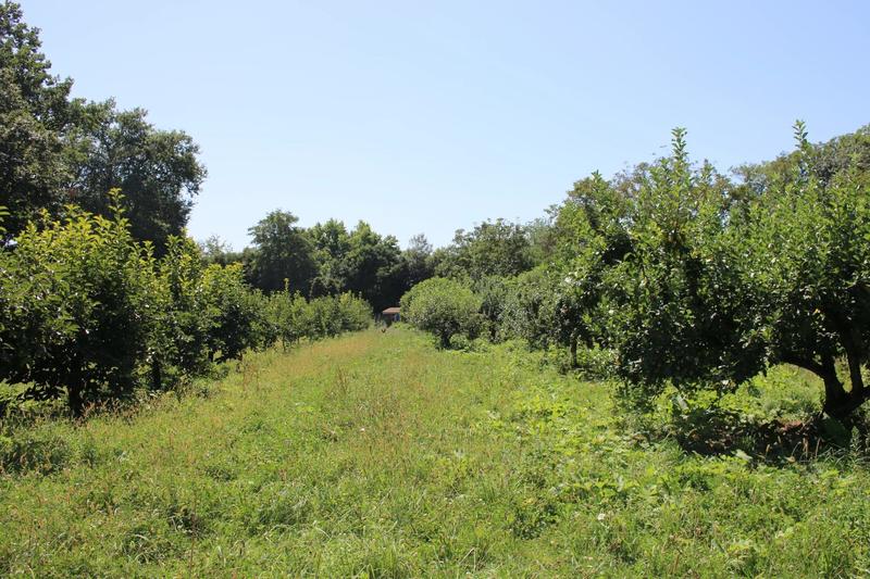 Château - 1 800 m² - 37 pièces