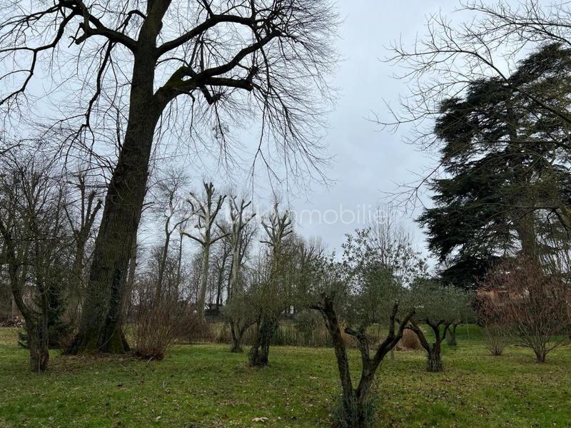 Demeure - 570 m² - 10 pièces