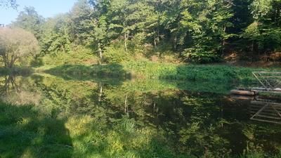 Terrain de loisirs - 21 498 m²