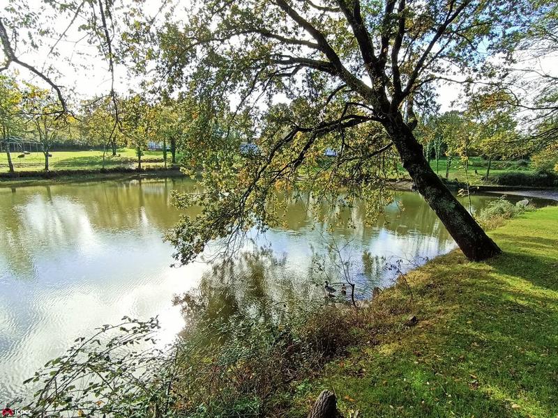 Maison - 530 m² - 8 pièces