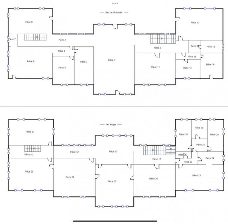 Château - 1 300 m² - 35 pièces